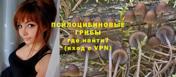 кокс Алексин