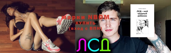кокс Алексин