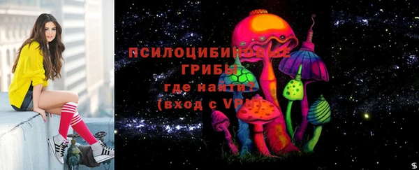 кокс Алексин