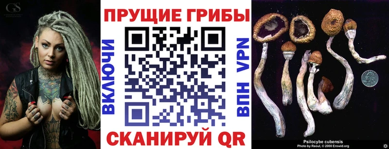 Псилоцибиновые грибы Psilocybine cubensis  Купить закладки  Вуктыл 